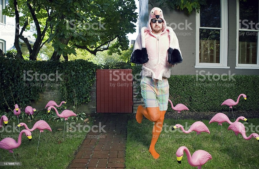 weird stock photos flamingo man