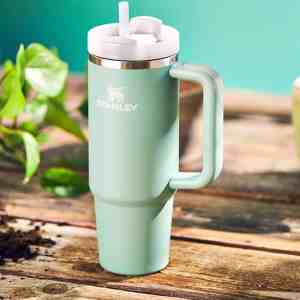 Stanley Quencher H2.0 FlowState Stainless Steel Vacuum Insulated Tumbler with Lid and Straw for Water